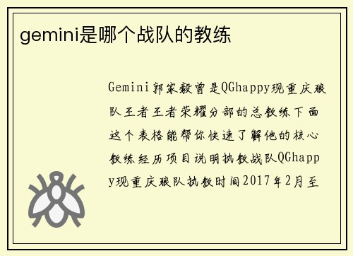 gemini是哪个战队的教练
